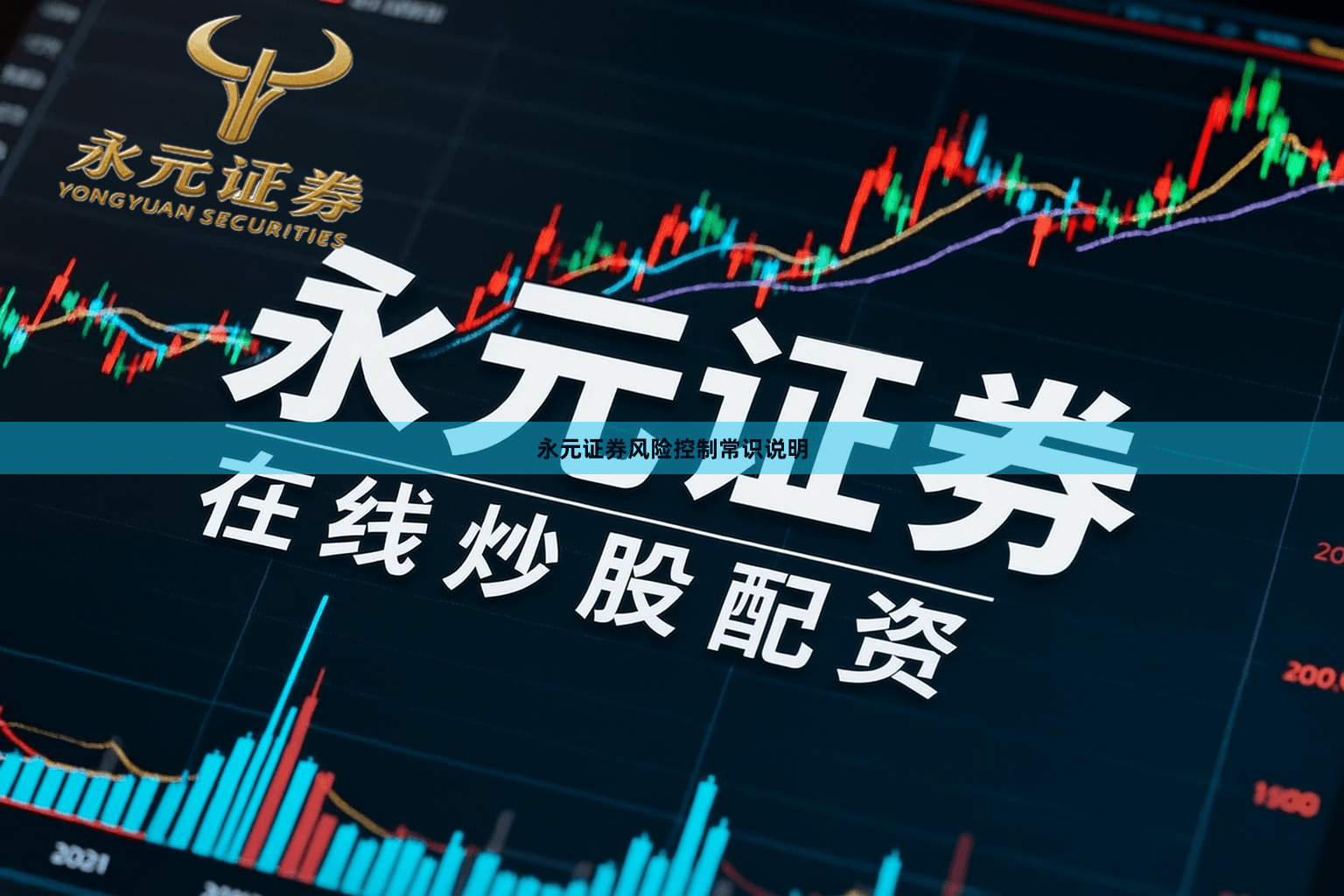 永元证券风险控制常识说明