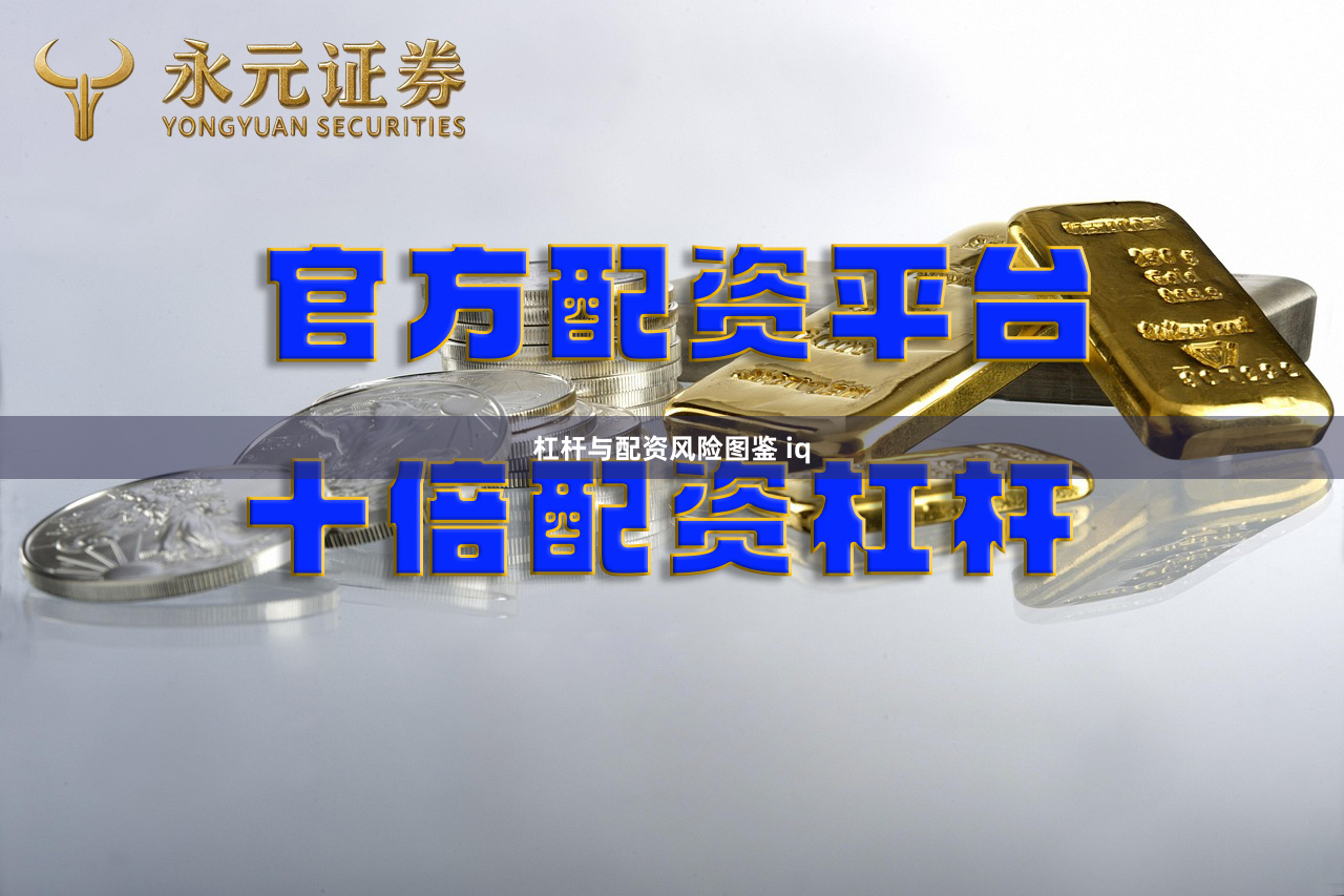 杠杆与配资风险图鉴 iq