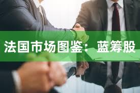 法国市场图鉴：蓝筹股